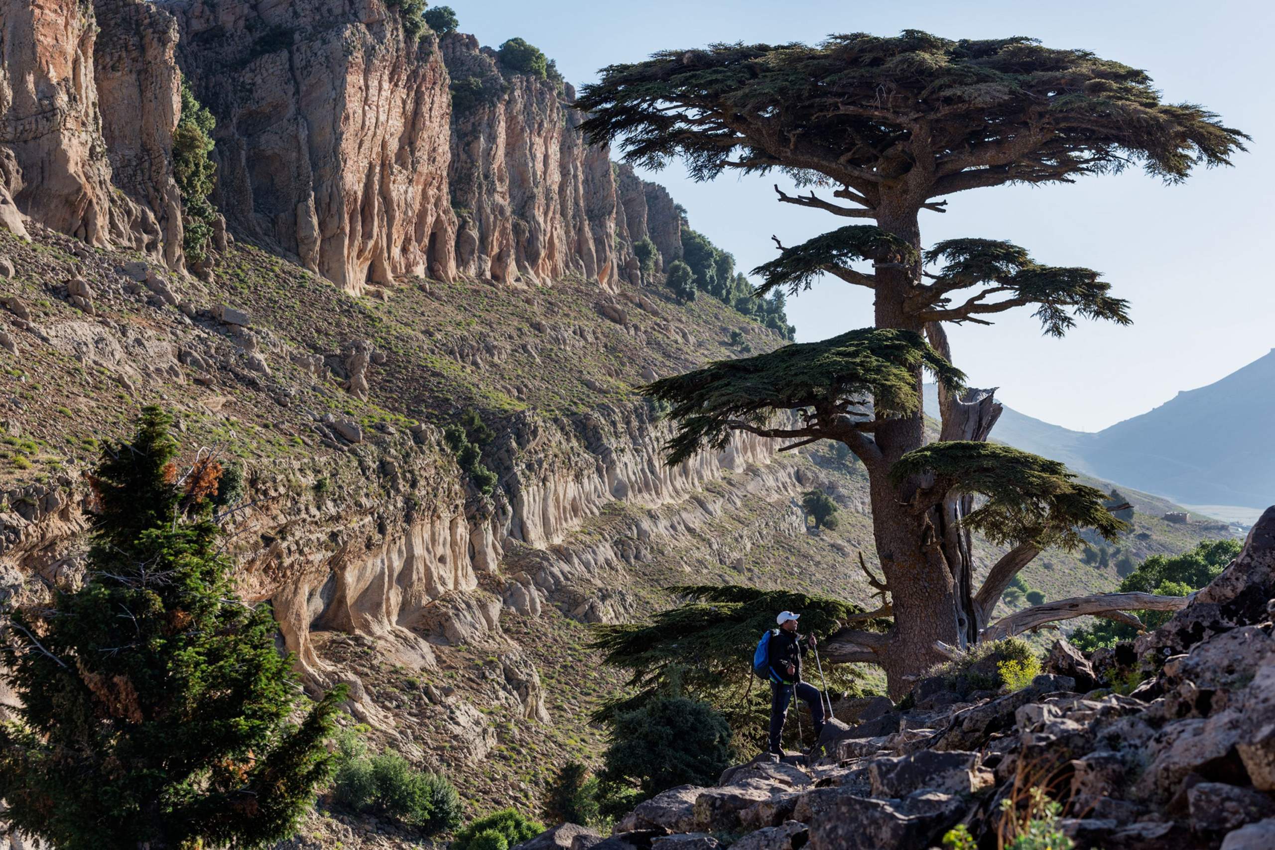 Nature in the Atlas mountains